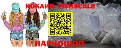 крисы Шелехов