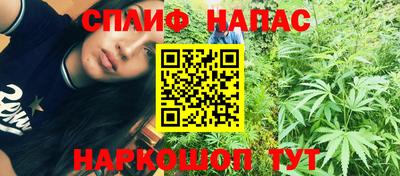 крисы Шелехов