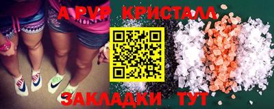 крисы Шелехов