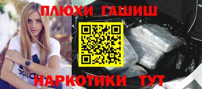 крисы Шелехов