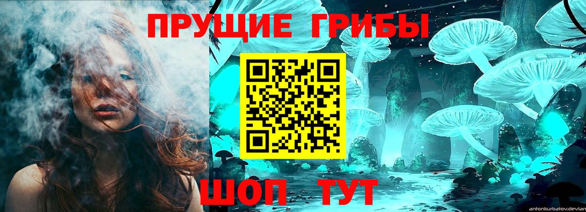 Псилоцибиновые грибы мицелий Скопин