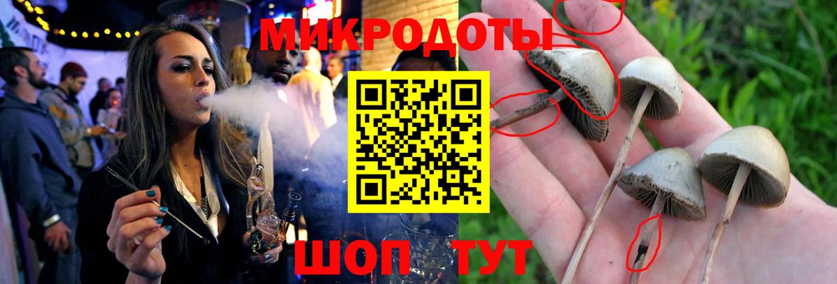 Галлюциногенные грибы Psilocybine cubensis  хочу   Скопин  Вход с VPN 